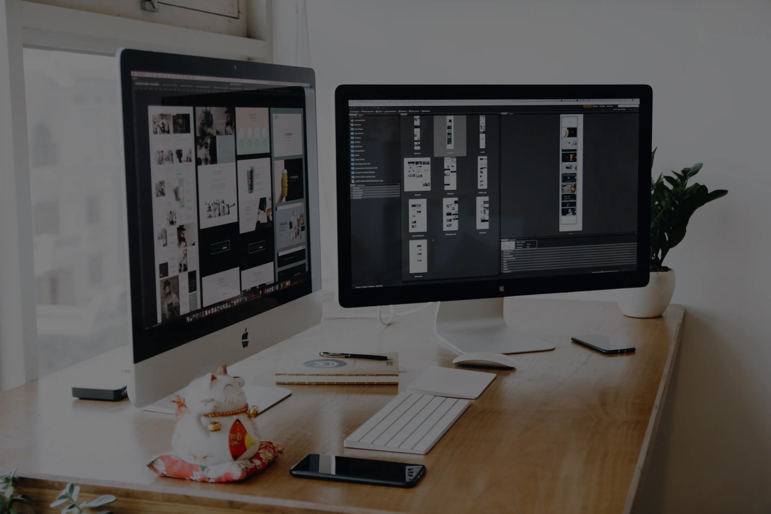 Design, sviluppo e gestione siti web